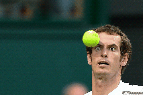 focus2.gif