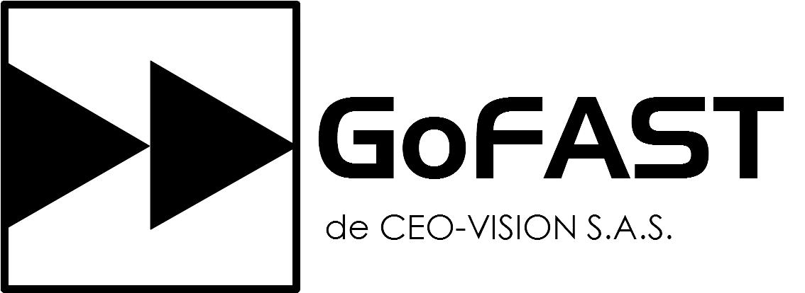 logo_gofast_de_ceo-vision_fr_noir_v5_0_1.png
