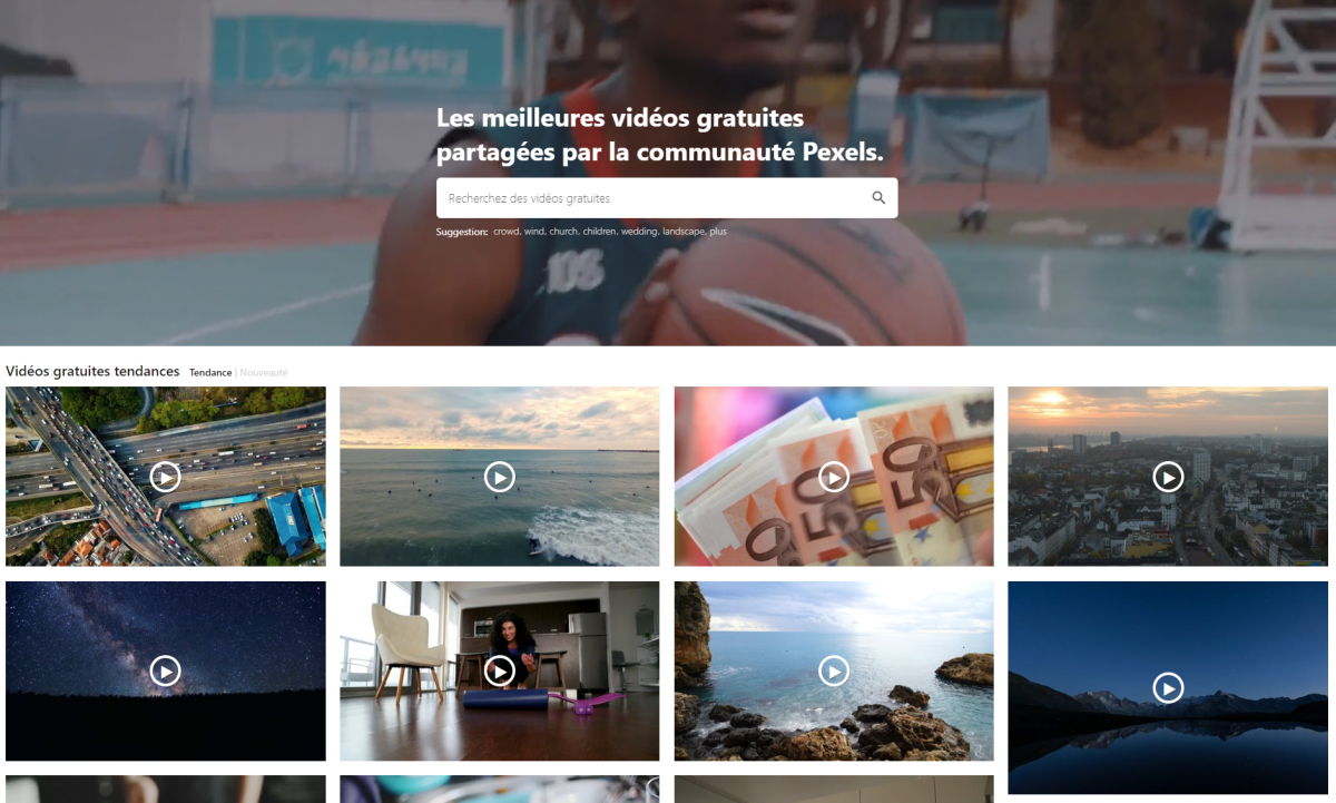 pexels-telecharger-video-gratuite