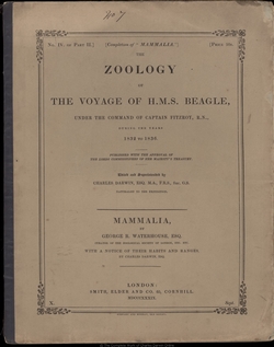 photo-reconstitution-darwin_bibliotheque