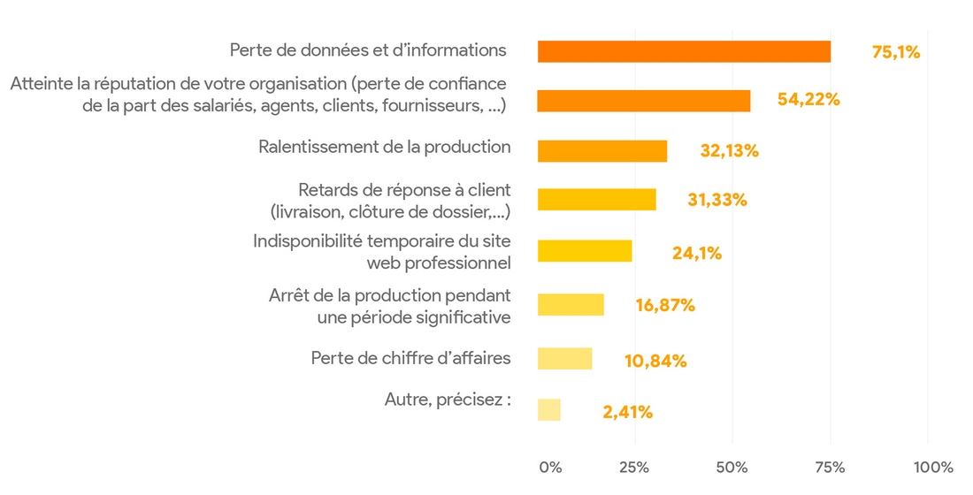gouvernance-information-effets-negatifs-risques