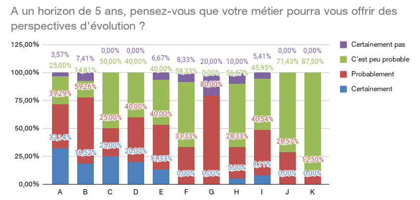 Les perspectives d'évolution des professionnels de la gestion de l'information à un horizon de 5 ans. (Archimag) professionnels-information-perspectives-fonction
