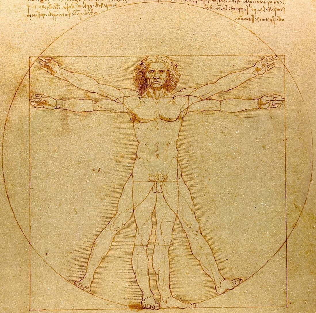 L'Homme de Vitruve, dessiné par Léonard de Vinci, devenu le symbole de l'humanisme. "Luc Viatour / www.Lucnix.be)