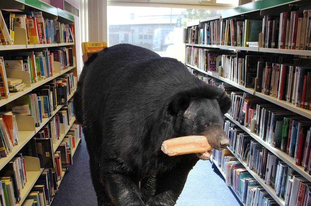 Maya, la nouvelle mascotte de la bibliothèque de Loudenvielle. (CJO/Archimag)