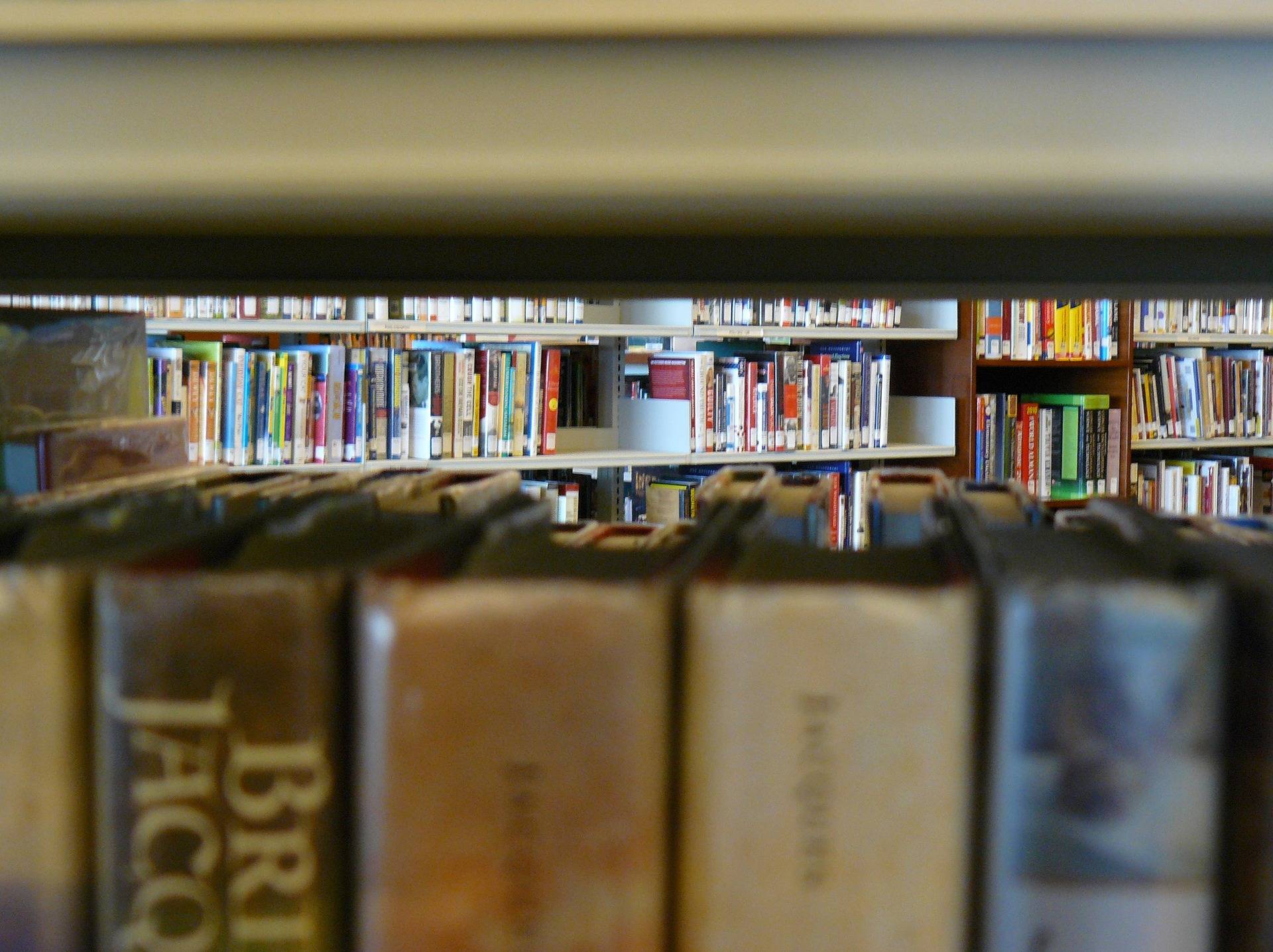Fleur Pellerin : "Ouvrons davantage de bibliothèques !" (PixaBay / CyberpunkLibrarian)