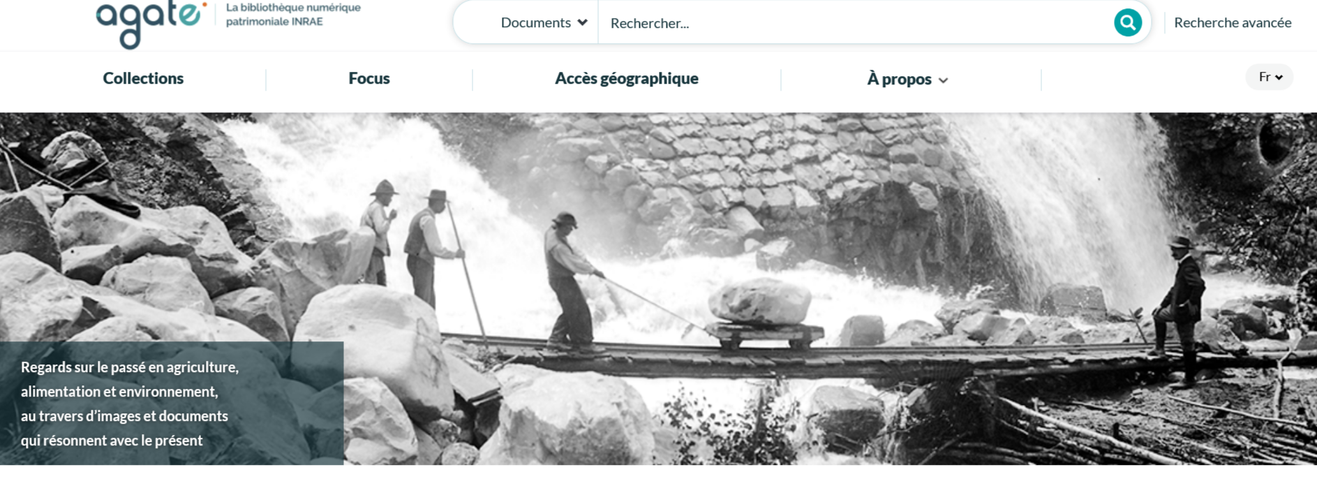 Page d'accueil de la biblkiothèque numérique Agate (Inrae) Agate-nouvelle-bibliotheque-numerique-patrimoniale-Inrae