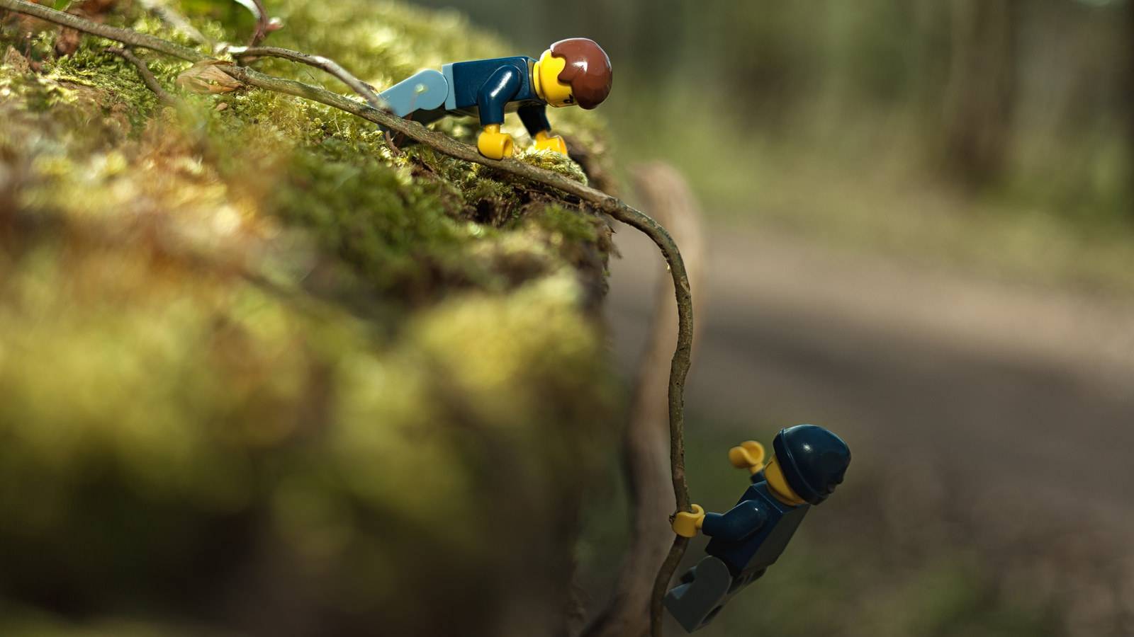 Bonne nouvelle pour les entreprises privées et le secteur public : quasiment tous les acteurs recensés sont en mesure de répondre à leurs problématiques spécifiques. (Michael Wacker via Visual hunt / CC BY-NC-ND) aide-lego-escalade
