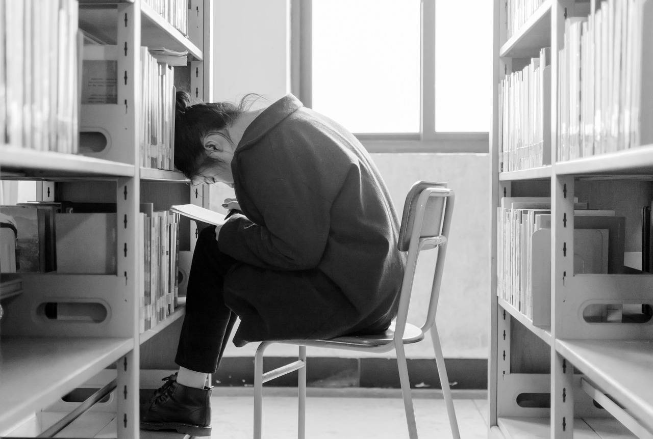L'Appel de Jussieu est lancé en pleine Semaine de l'Open access (Pixabay / Plume 233)