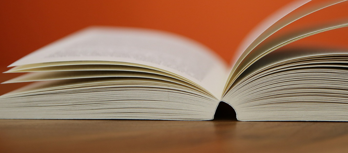 La bibliographie nationale française rassemble les notices bibliographiques des documents édités ou diffusés en France et reçus au titre du dépôt légal depuis 1811 (BnF)