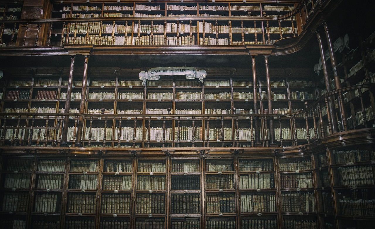 bibliotheques-endommagees-ukraine-unesco