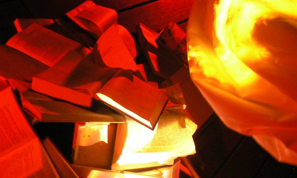 "Les bibliothécaires sont profondément blessés et très peu armés pour comprendre ce qui leur arrive", explique Denis Merklen (Raphaël Labbé/Flickr)