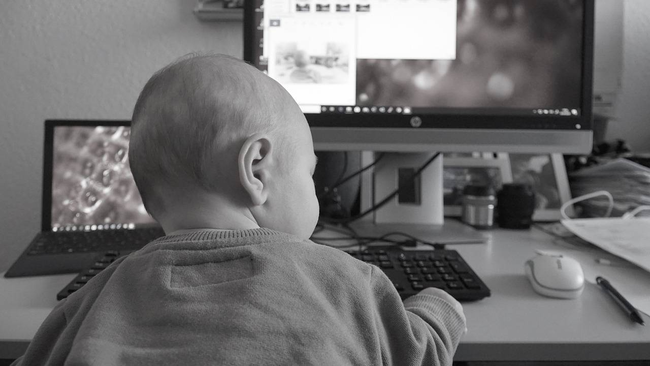 5 millions de Français sont en situation de télétravail depuis le début du confinement (Pixabay / Mylene2401)