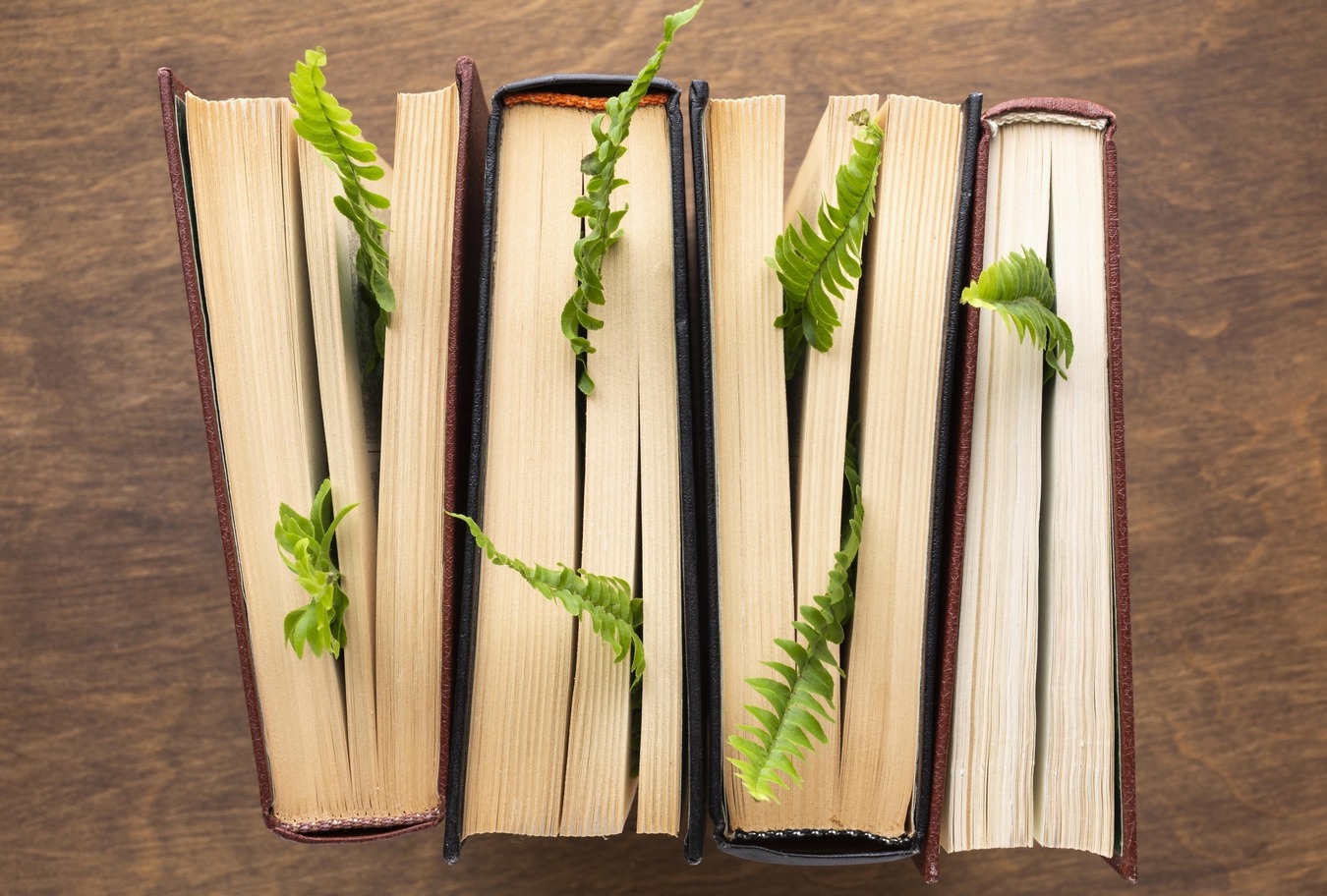 seconde-vie-desherbage-livres-bibliothèques