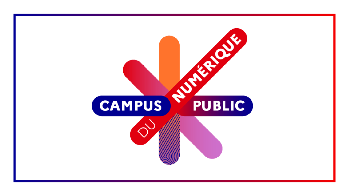 L’ambition de l’État : attirer, recruter, former et fidéliser les professionnels du numérique en disposant de compétences rares et pointues pour réussir sa transformation numérique et garantir sa souveraineté (Portail de la fonction publique).