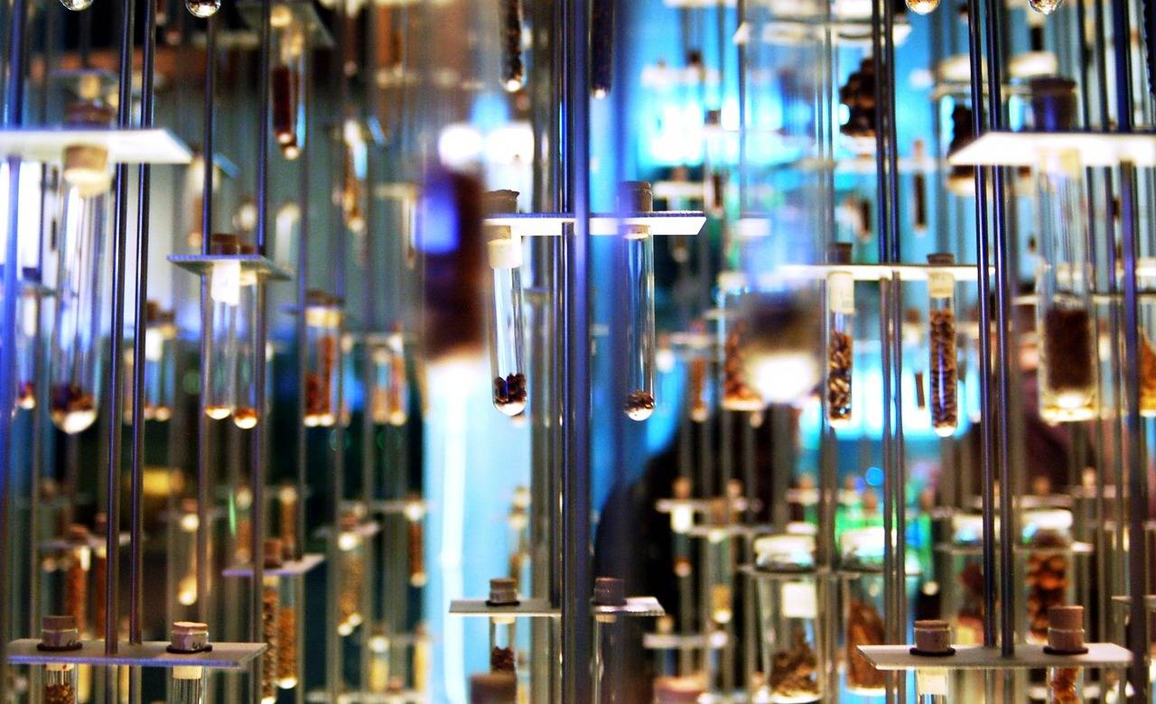 L’association Graine de Troc a lancé quarante-trois grainothèques à travers la France (makunin/Pixabay)