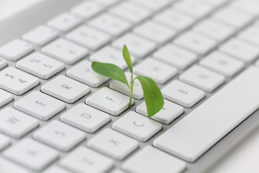 Le poids des pages web a été multiplié par 155 entre 1995 et 2022 (Freepik Premium) Concevoir-site-web-ecoresponsable-referentiel-pour-ca
