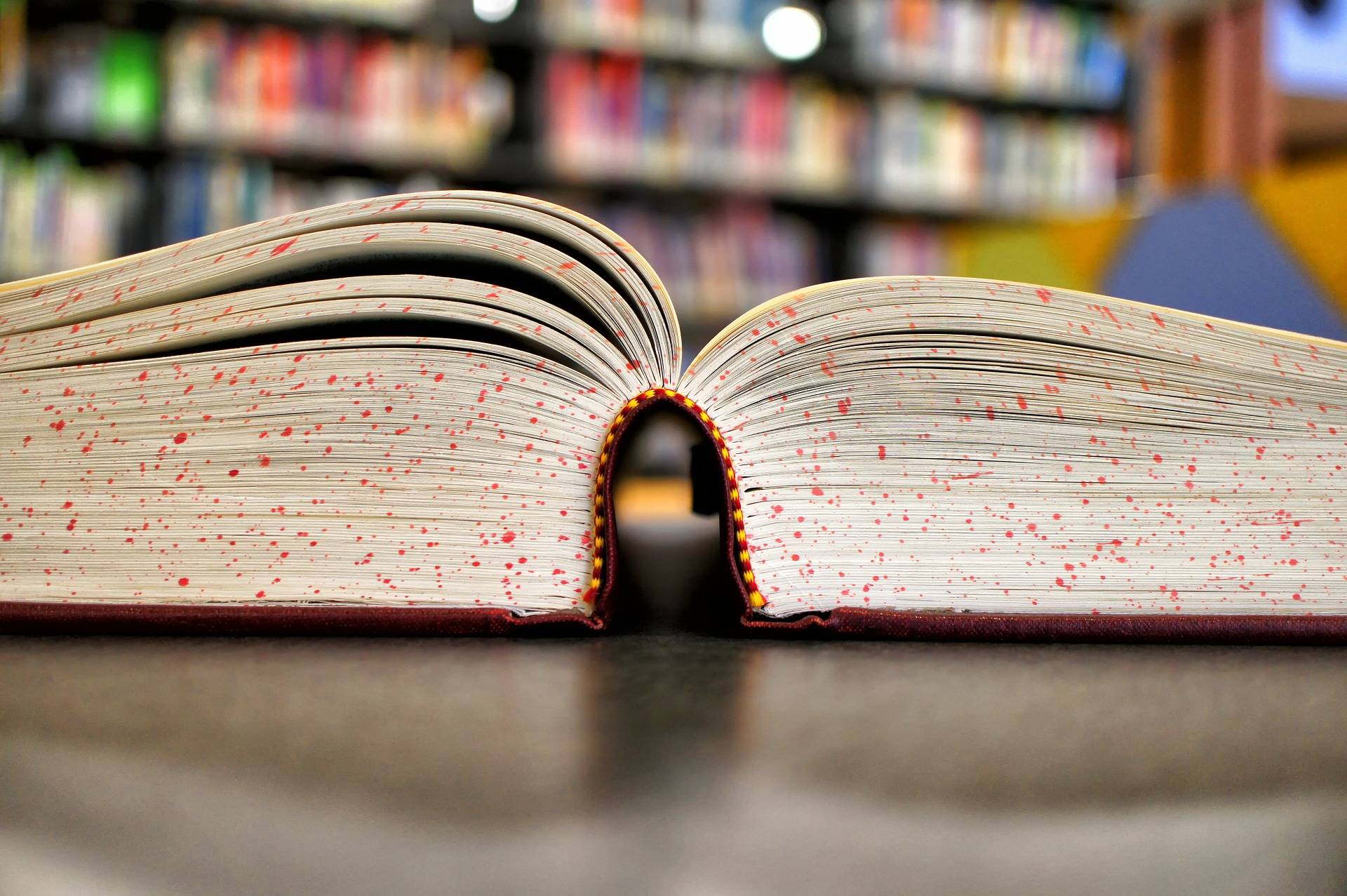 De quoi contourner le difficile barrage de la maison d'édition... (Pixabay/kshelton)