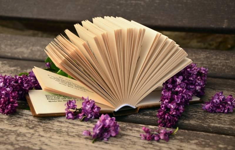 la mutualisation des systèmes permet à tous les métiers de la documentation de se nourrir les uns les autres (patrycja) livre_fleure