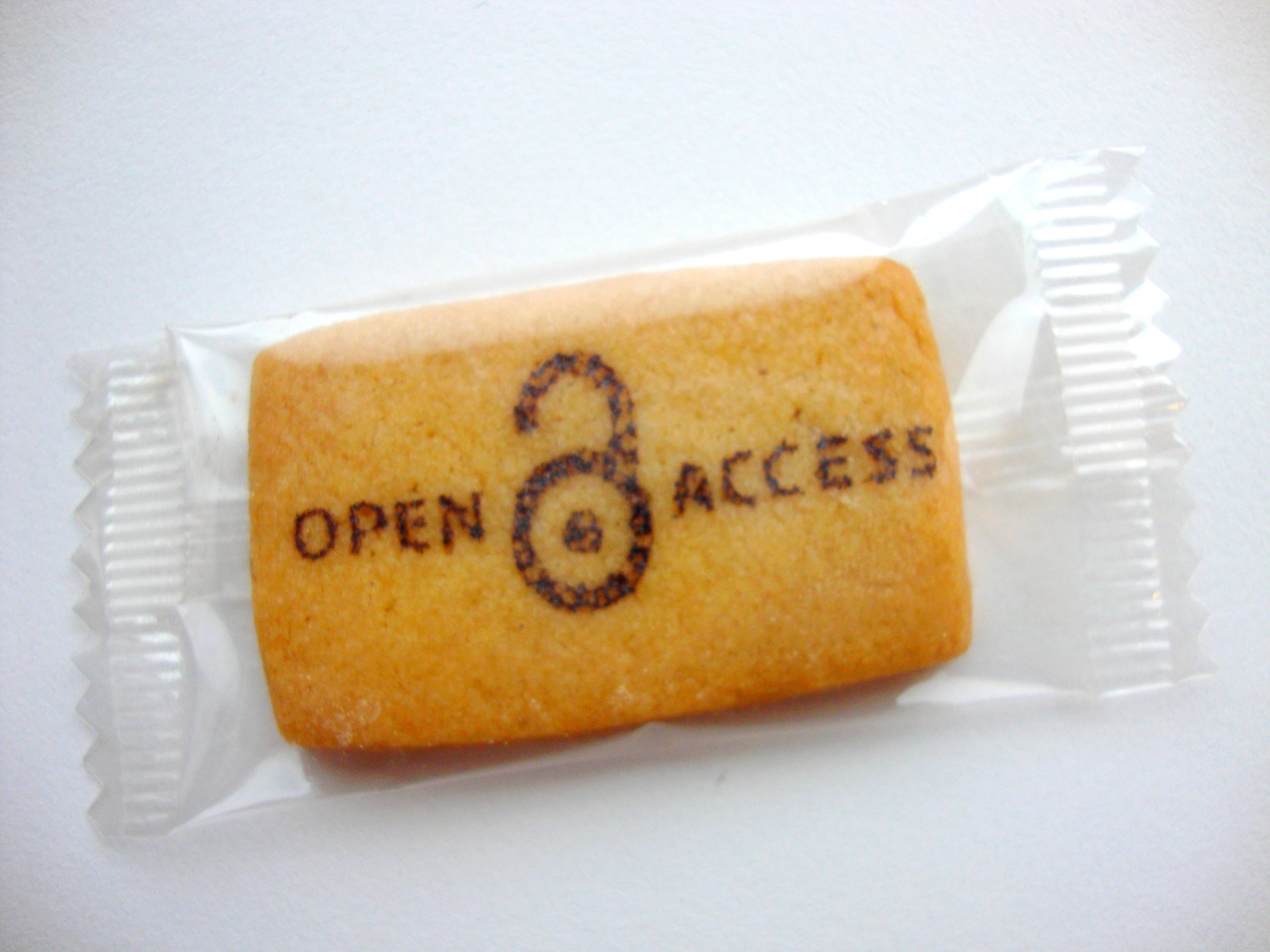 COAlition S est né sous l'impulsion des 11 organismes participants, de Marc Schiltz, président de Science Europe, et de Robert-Jan Smits, correspondant de la Commission européenne. (biblioteekje via VisualHunt / CC BY-NC-SA) open-access