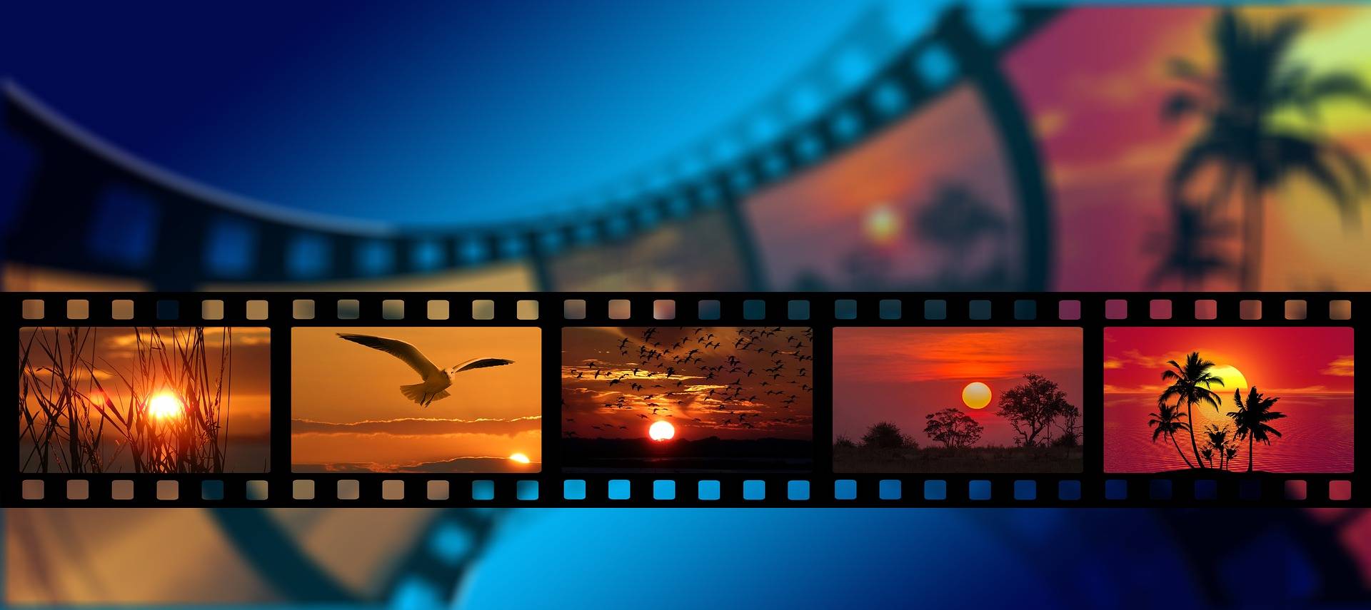 Parade intègre votre charte graphique pour proposer à vos utilisateurs une application à vos couleurs / Pixabay parade_phraseanet