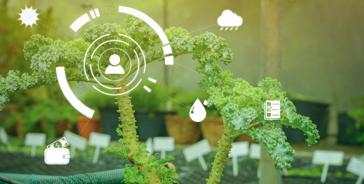 Conscients des enjeux environnementaux auxquels ne devons adapter nos pratiques numériques, le modèle du permacomputing permet de s'approprier une nouvelle manière de penser et d'agir (Freepik).