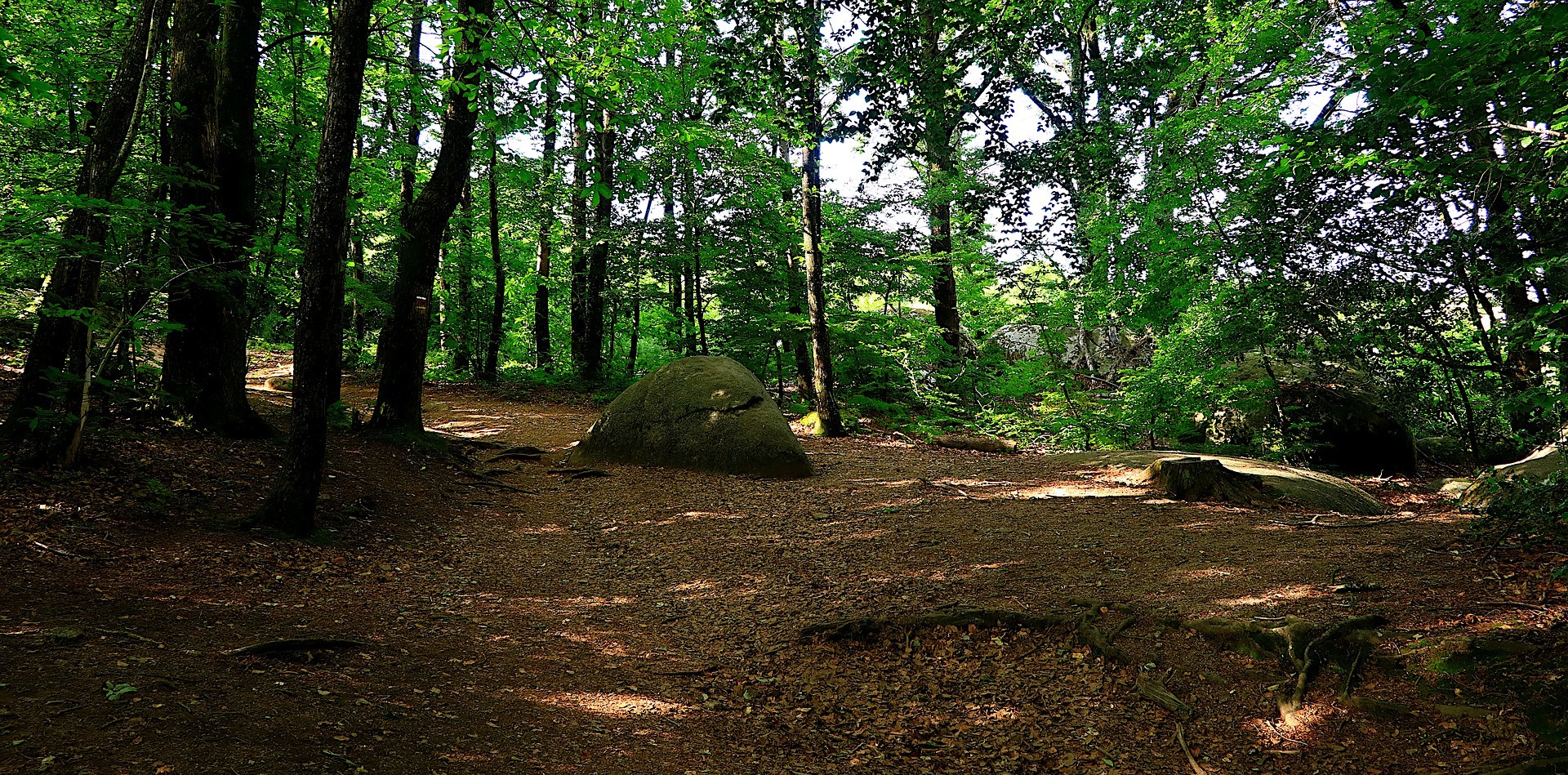 Concilier gouvernance de l’information et réduction des émissions de carbone.