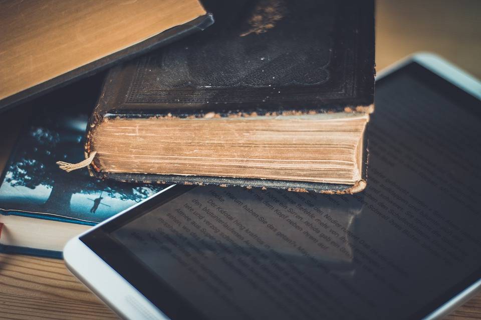620 000 prêts ont été enregistrés en l'espace de trois ans (Pixabay / sik-life)