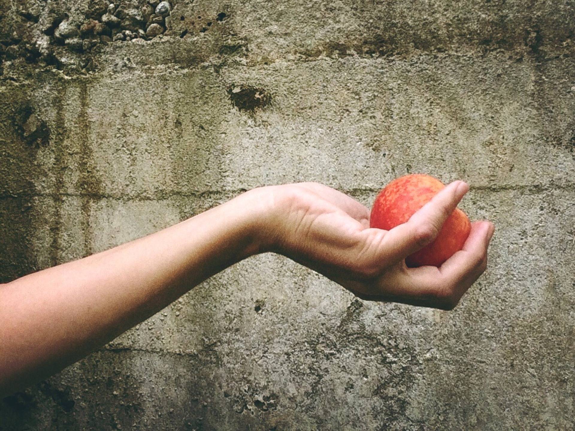 2 dollars seront retirés des pénalités de retard des usagers pour chaque denrée alimentaire apportée. (Pixabay/wokandapix)