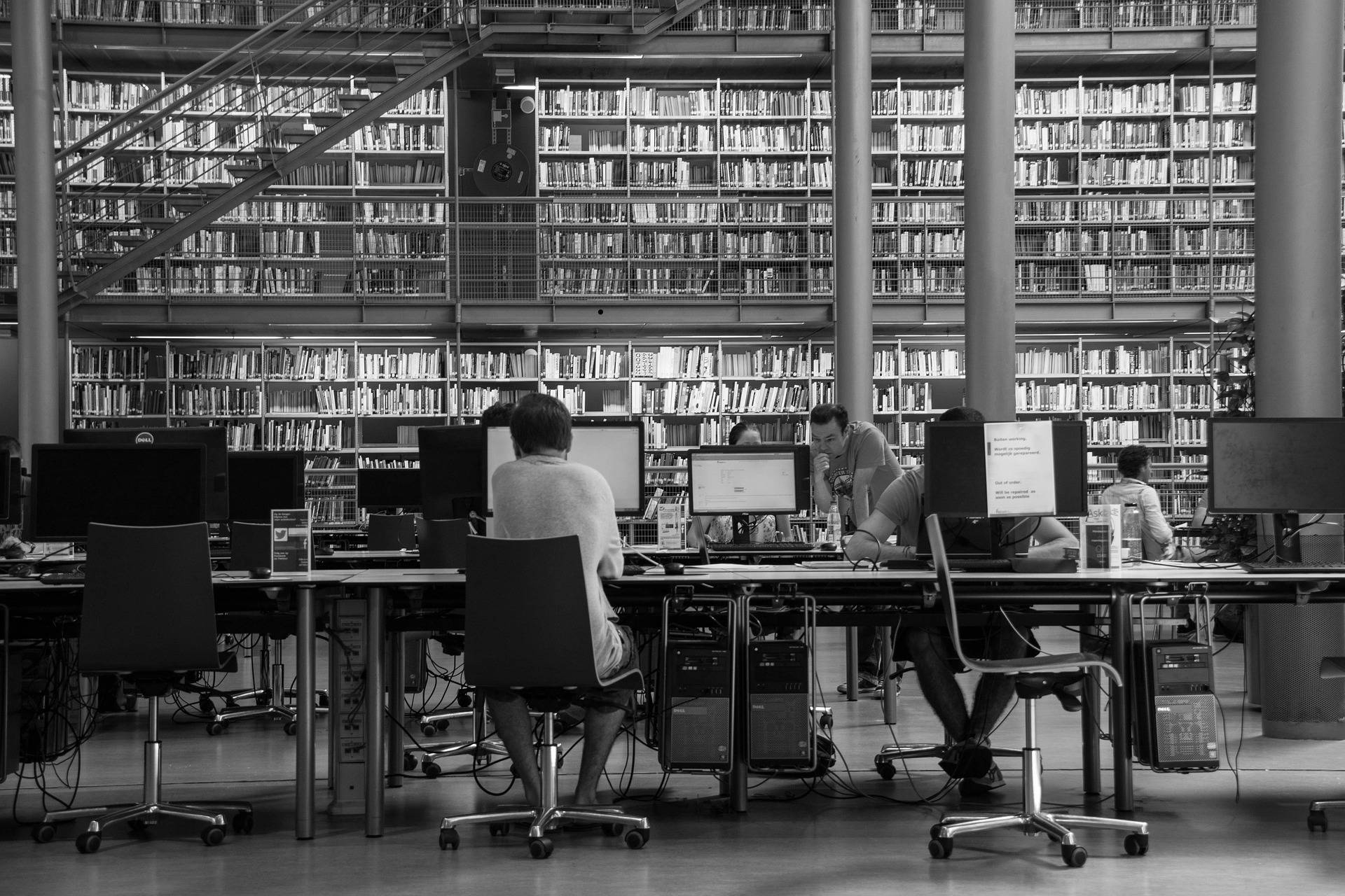 L'évaluation de votre service de découverte est importante, car elle vous permet de vous assurer que ce service répond correctement aux besoins des utilisateurs.(pixabay-fritsdejong) recherche-bibliotheque