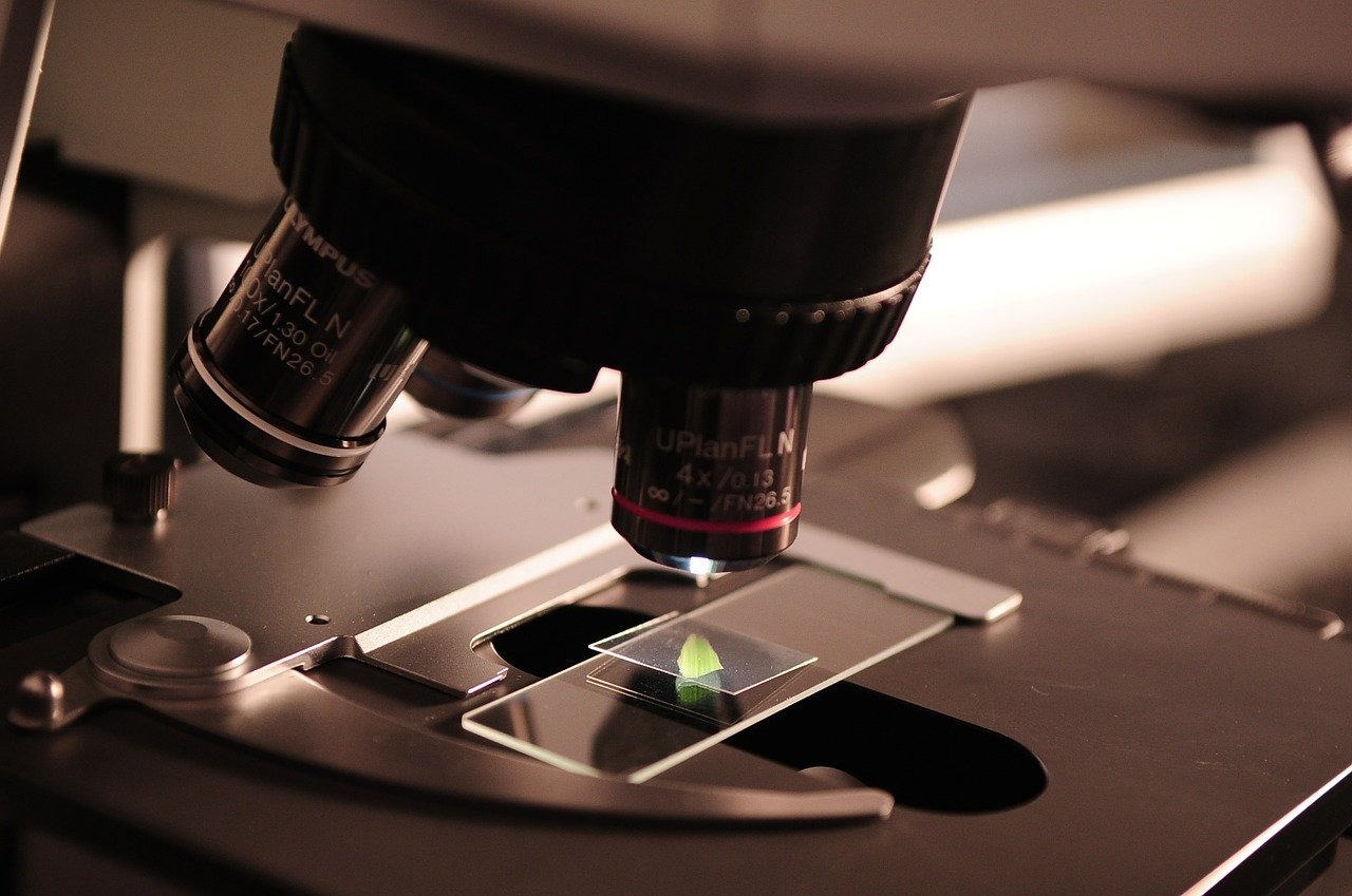 Le mouvement vers l'ouverture des publications scientifiques se poursuit (Pixabay / felixioncool)