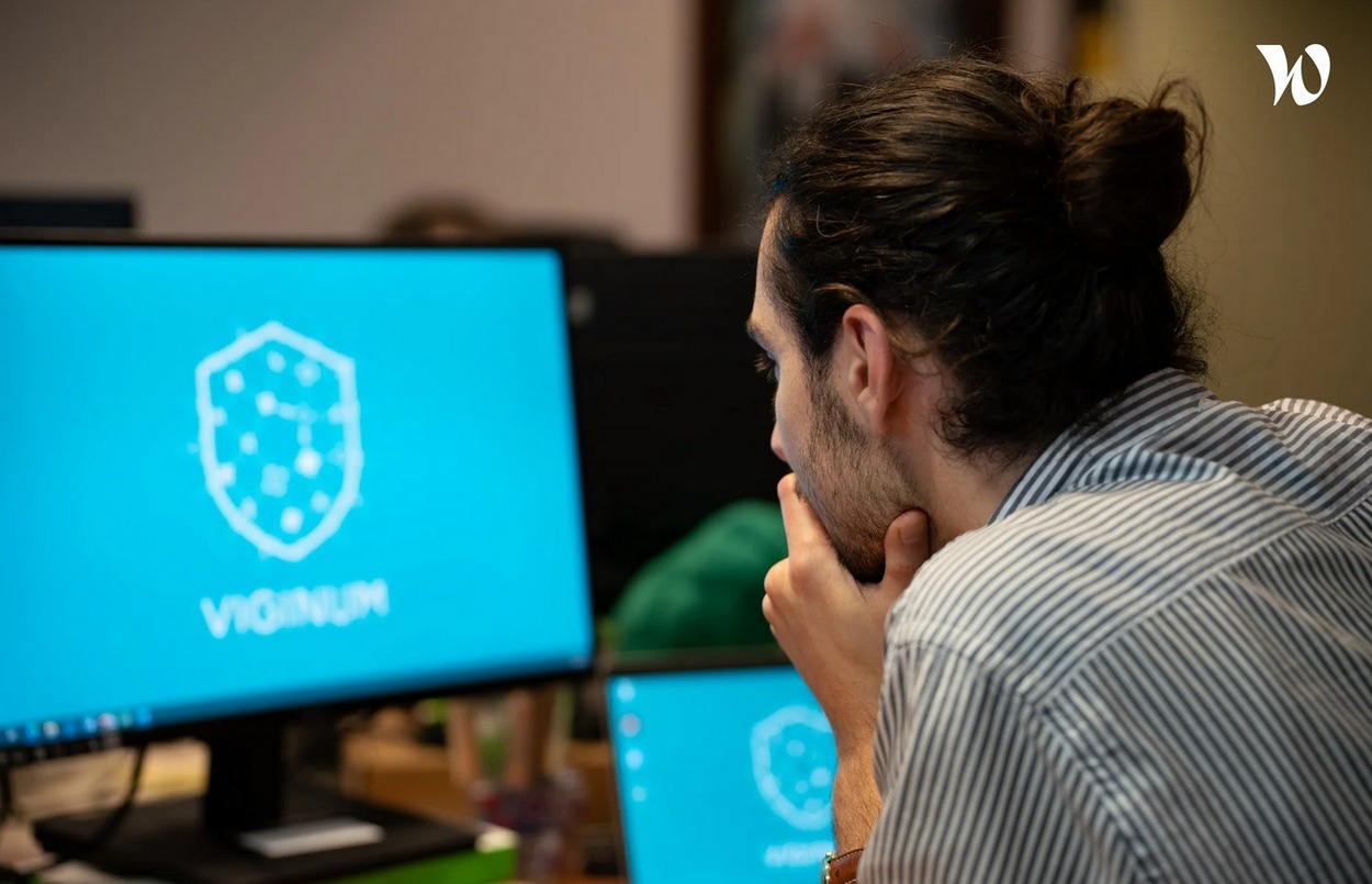 viginum-experts-cybersecurite-etat-francais