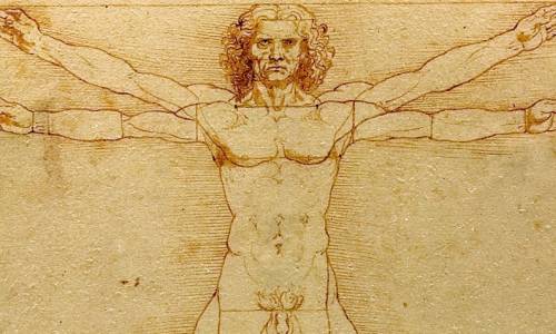 L'Homme de Vitruve, dessiné par Léonard de Vinci, devenu le symbole de l'humanisme. "Luc Viatour / www.Lucnix.be)