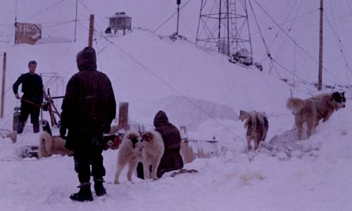 Archipôles offre un accès libre aux archives polaires françaises. Ici, un traîneau de cinq chiens et trois hommes sur la base scientifique de Port-Martin en Terre Adélie. (EPF/Archipôles) archives-polaires-archipoles-expedition