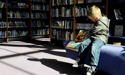Les bibliothèques à l'heure du déconfinement (Pixabay / PublicDomainPicture)