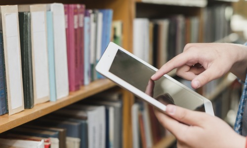 Logiciels-bibliotheques-marche-hausse-ventes-recul