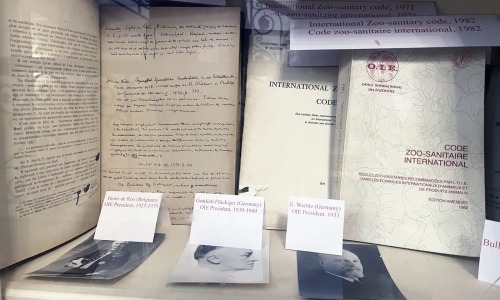 Organisation-mondiale-sante-animale-celebre-100-ans-archives