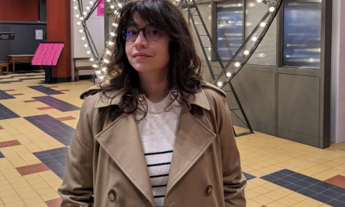 ariane-pinche-patrimoine-numerique