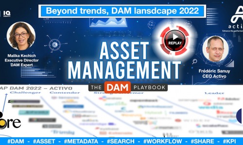 Replay Webinaire DAM Activo Consulting Carte des solutions DAM 2022 - Replay du Webinaire